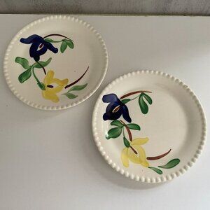 Blue Ridge Southern Pottery Carnival Hand Painted Floral Set/2 Bread 6" Plates